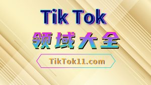 Tik Tok变现领域大展-TikTok11