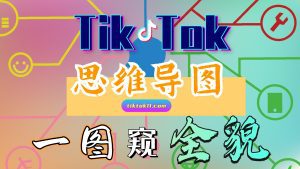 Tik Tok入局变现赚美金！流程思维导图-TikTok11