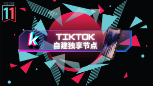 搭建自己的专属独享TikTok节点—v2ray搭建教程-TikTok11