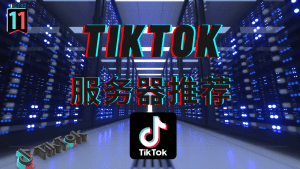 Tiktok节点服务器购买推荐-TikTok原生IP自己搭建-TikTok11