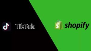 Tiktok+独立站,更快获取流量赚美金!-TikTok11