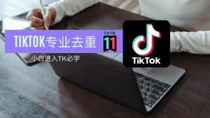 TikTok新手必看!搬运应如何去重?教你专业去重手法!-TikTok11