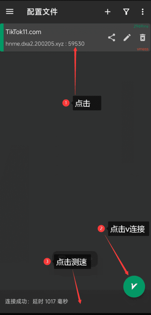 图片[8]-如何连接购买的TikTok节点？ - TikTok11-TikTok11