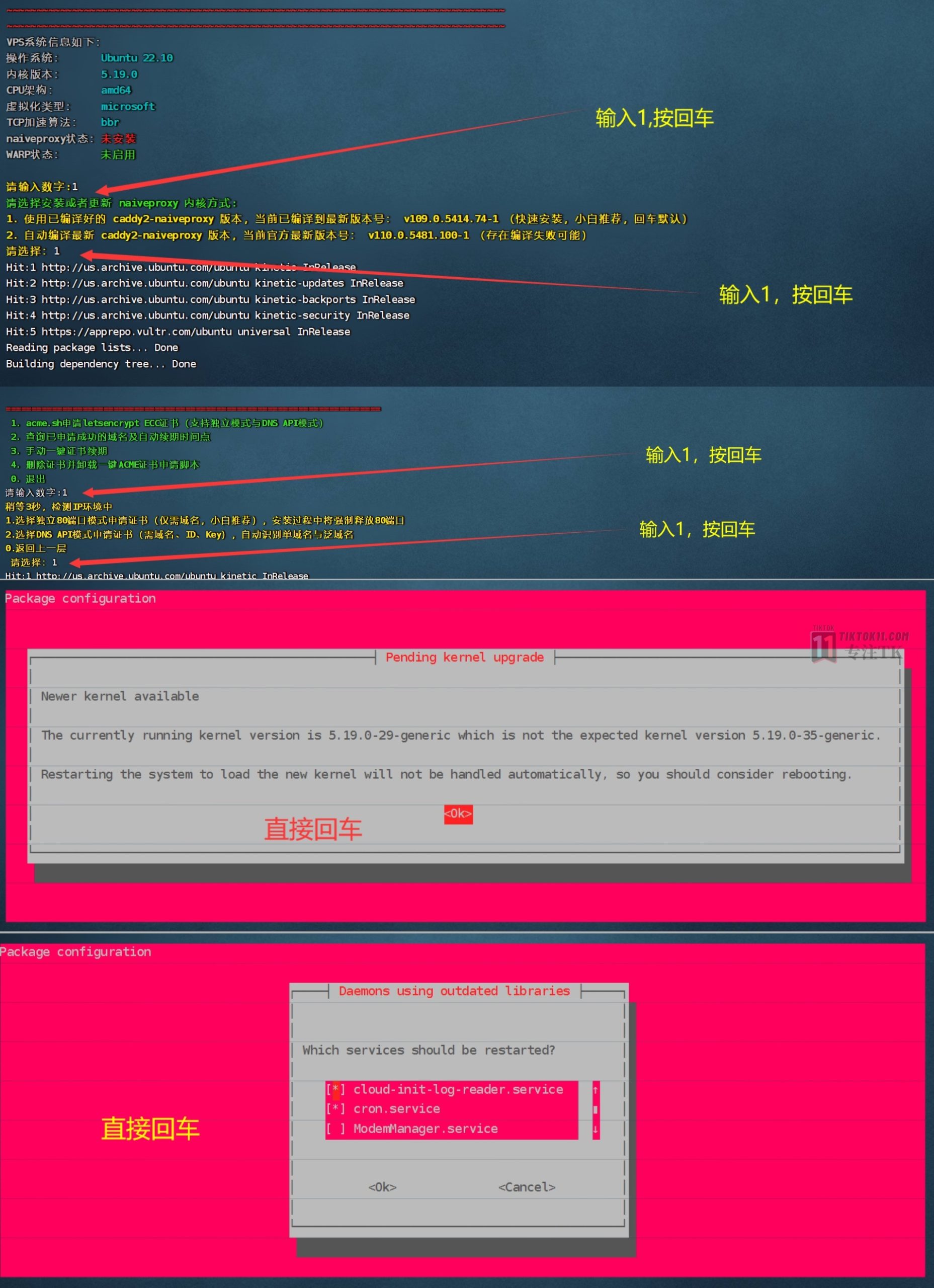 图片[20]-搭建自己的专属原生独享TikTok节点——最新最稳定的naive节点搭建 - TikTok11-TikTok11