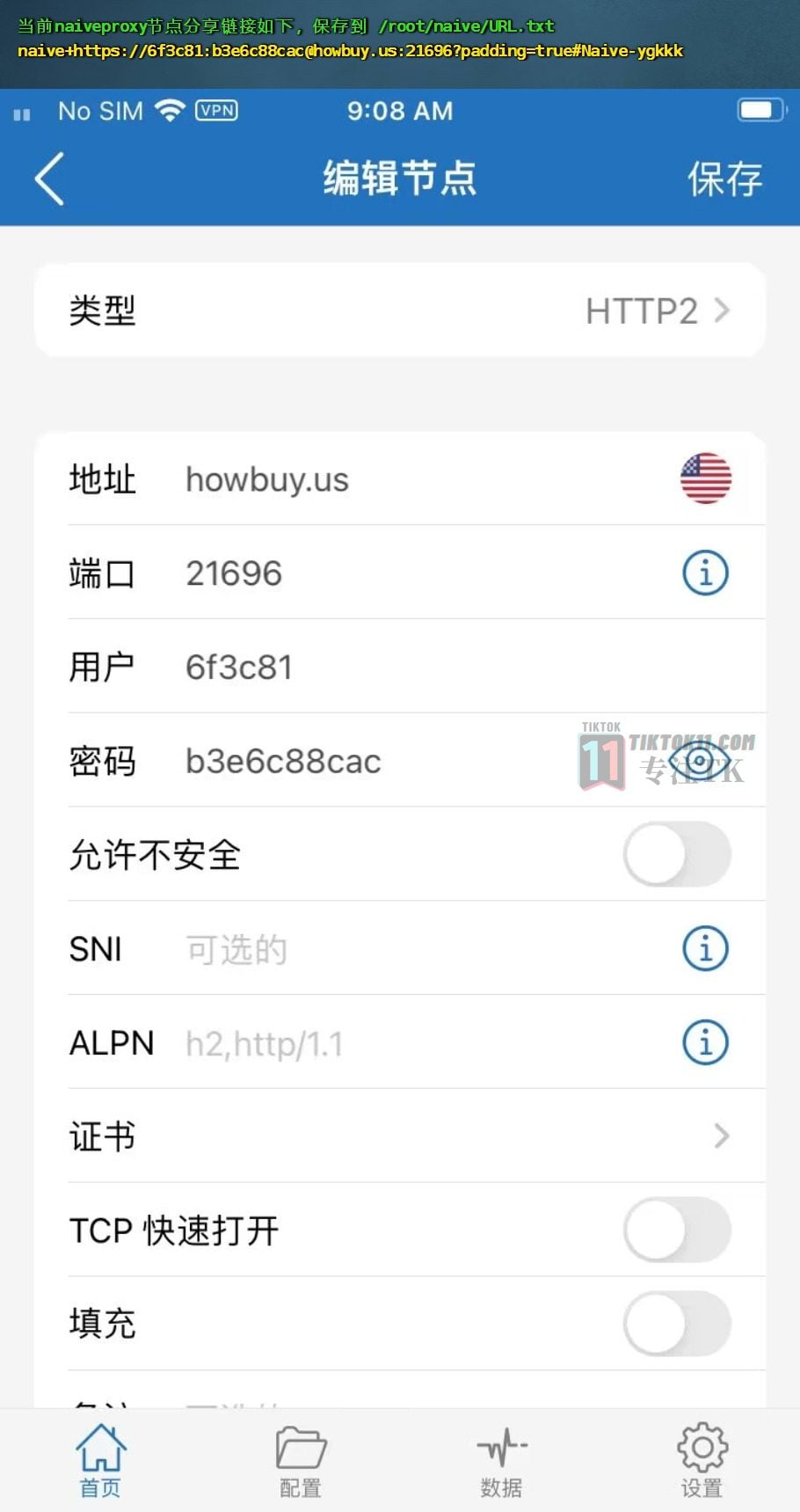 图片[29]-搭建自己的专属原生独享TikTok节点——最新最稳定的naive节点搭建 - TikTok11-TikTok11