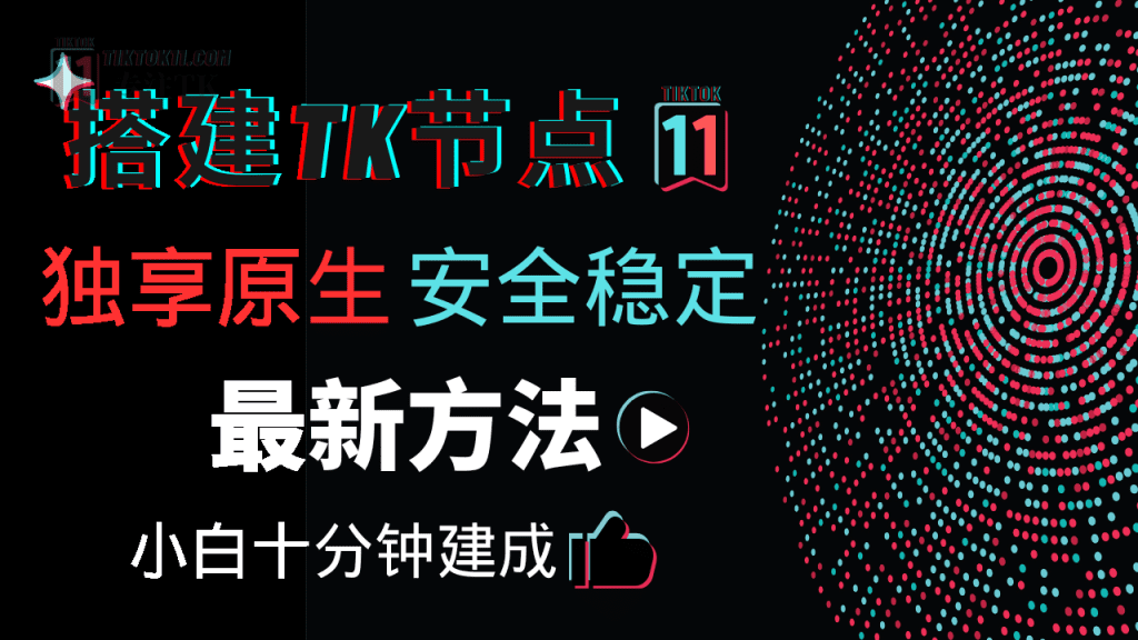搭建自己的专属原生独享TikTok节点——最新最稳定的naive节点搭建-TikTok11