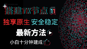 搭建自己的专属原生独享TikTok节点——最新最稳定的naive节点搭建-TikTok11