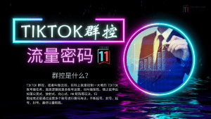 TikTok 云群控背后的关键-TikTok11