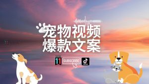 分享TikTok35个宠物类爆款文案（中英文对照）-TikTok11