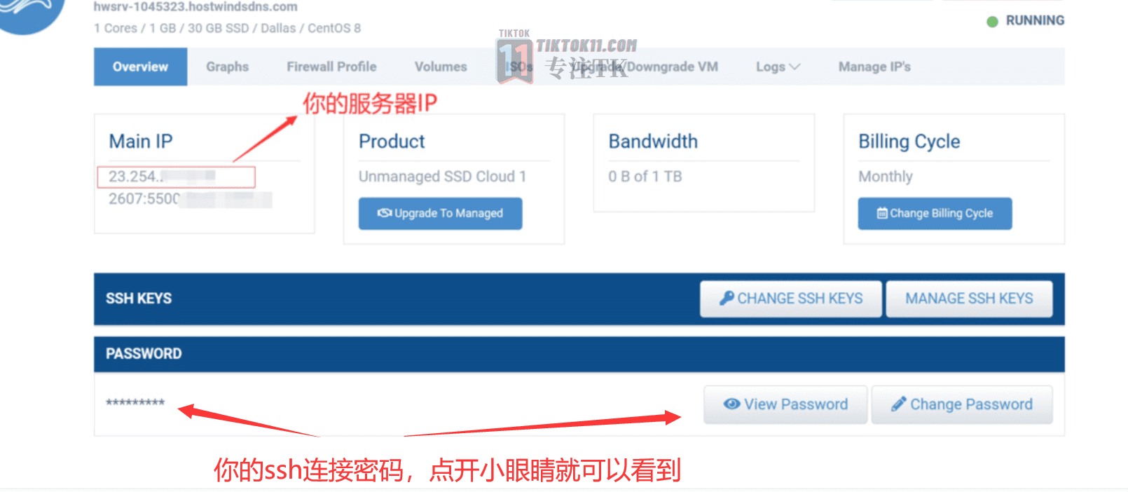 图片[13]-搭建自己的专属独享TikTok节点—国际版抖音节点搭建教程 - TikTok11-TikTok11