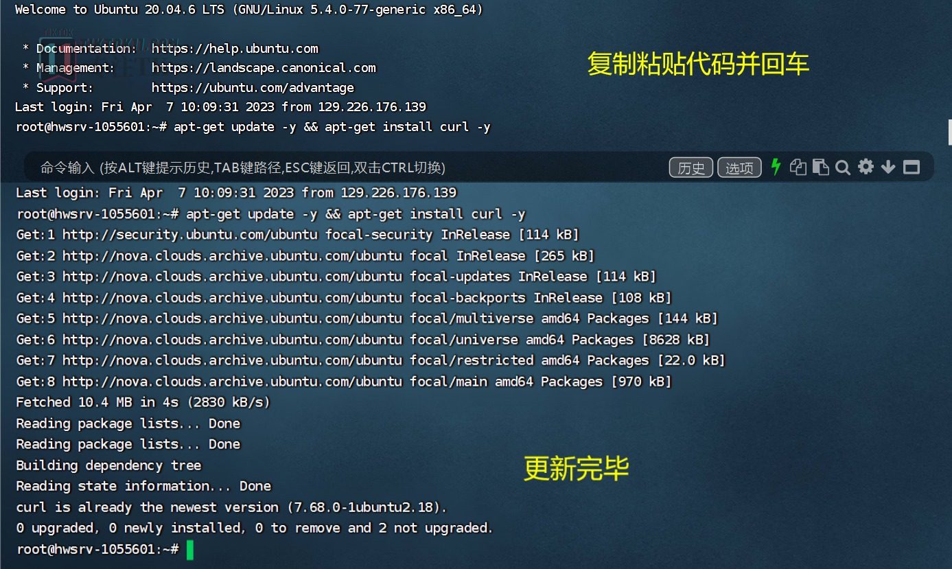 图片[16]-搭建自己的专属独享TikTok节点—国际版抖音节点搭建教程 - TikTok11-TikTok11