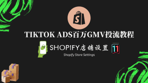 TikTok百万GMV投流教程——Shopify店铺设置-TikTok11