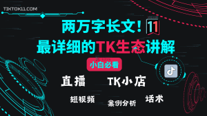 两万字TikTok保姆级教程，带你看透TikTok的生态！-TikTok11