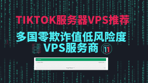 TikTok服务器vps推荐，多国零欺诈值低风险度vps服务商推荐！-TikTok11