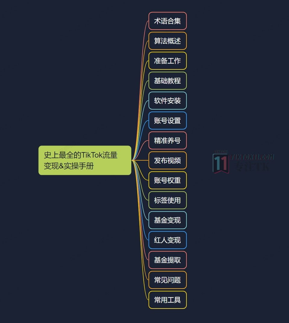 图片[1]-3万字长文！TikTok实操指南，新手入局TikTok必看！（一） - TikTok11-TikTok11