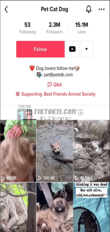 图片[35]-3万字长文！TikTok实操指南，新手入局TikTok必看！（一） - TikTok11-TikTok11