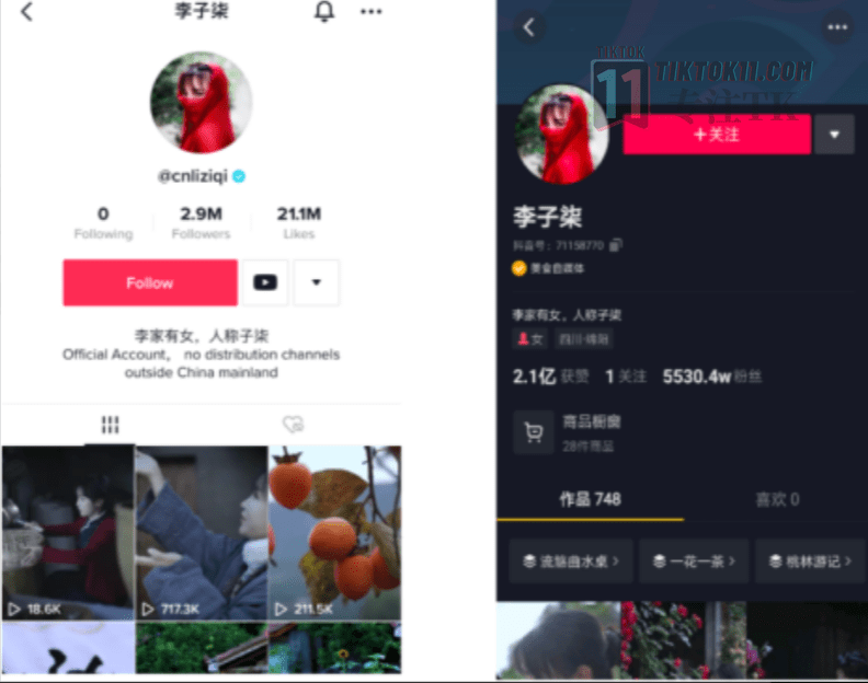 图片[5]-3万字长文！TikTok实操指南，新手入局TikTok必看！（二） - TikTok11-TikTok11