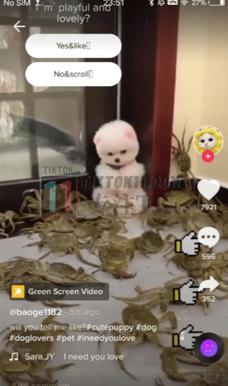 图片[16]-3万字长文！TikTok实操指南，新手入局TikTok必看！（二） - TikTok11-TikTok11