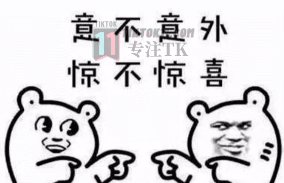 图片[24]-3万字长文！TikTok实操指南，新手入局TikTok必看！（二） - TikTok11-TikTok11