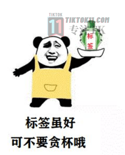 图片[26]-3万字长文！TikTok实操指南，新手入局TikTok必看！（二） - TikTok11-TikTok11