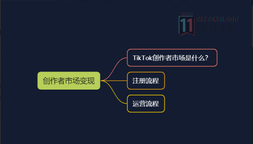 图片[37]-3万字长文！TikTok实操指南，新手入局TikTok必看！（二） - TikTok11-TikTok11