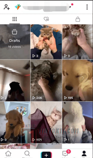 图片[77]-3万字长文！TikTok实操指南，新手入局TikTok必看！（二） - TikTok11-TikTok11
