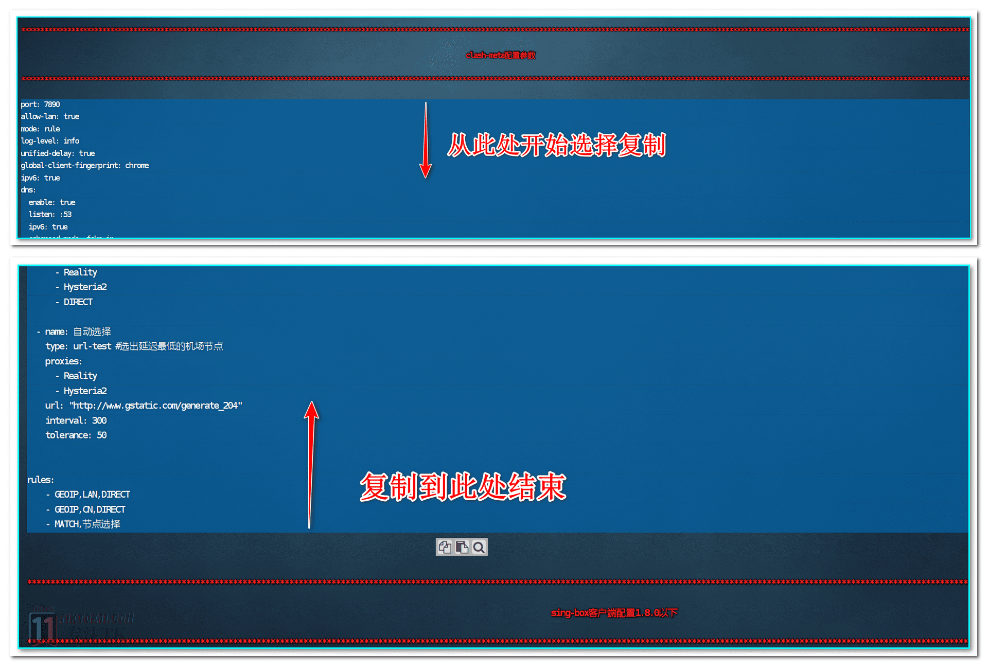 图片[25]-2024年最新教程，一键搭建三种协议TikTok节点，稳定，安全，快速，小白也能无脑搭建TiKTok独享节点 - TikTok11-TikTok11