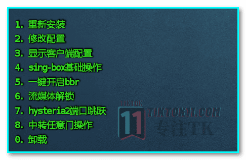 图片[44]-2024年最新教程，一键搭建三种协议TikTok节点，稳定，安全，快速，小白也能无脑搭建TiKTok独享节点 - TikTok11-TikTok11