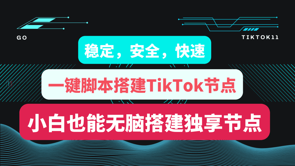 2024年最新教程，一键搭建三种协议TikTok节点，稳定，安全，快速，小白也能无脑搭建TiKTok独享节点-TikTok11