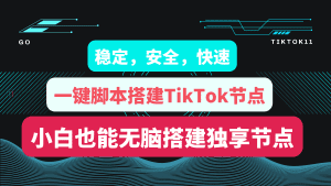 2024年最新教程，一键搭建三种协议TikTok节点，稳定，安全，快速，小白也能无脑搭建TiKTok独享节点-TikTok11
