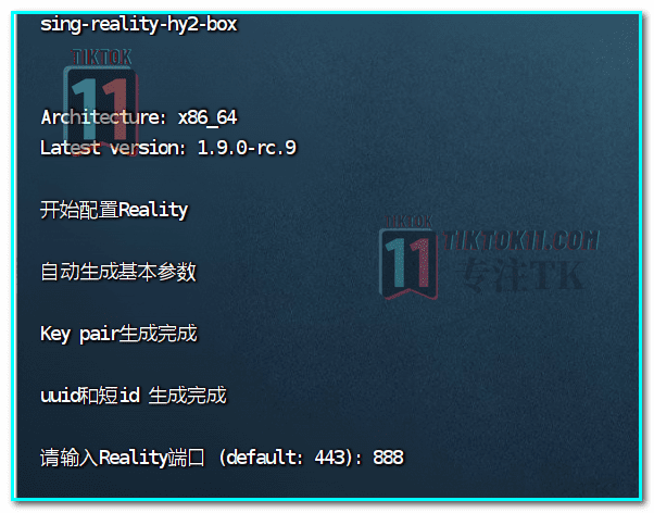 图片[18]-2024年最新教程，一键搭建三种协议TikTok节点，稳定，安全，快速，小白也能无脑搭建TiKTok独享节点 - TikTok11-TikTok11