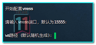 图片[22]-2024年最新教程，一键搭建三种协议TikTok节点，稳定，安全，快速，小白也能无脑搭建TiKTok独享节点 - TikTok11-TikTok11
