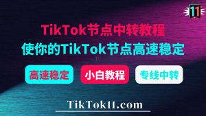 TikTok节点中转教程：利用专线中转提升自建TikTok节点速度与稳定性-TikTok11