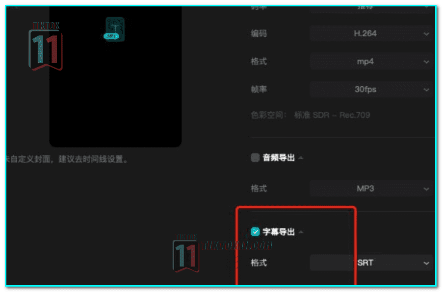 图片[15]-TikTok 海外短剧怎么做？2024年最新海外TikTok短剧掘金万字教程 - TikTok11-TikTok11