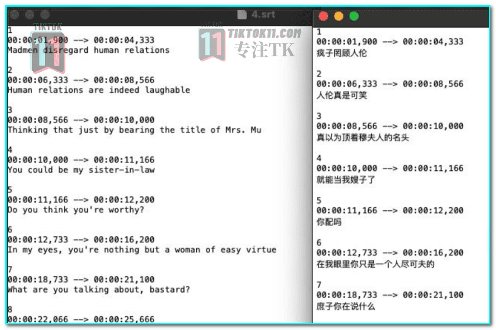 图片[16]-TikTok 海外短剧怎么做？2024年最新海外TikTok短剧掘金万字教程 - TikTok11-TikTok11