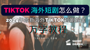 TikTok 海外短剧怎么做？2024年最新海外TikTok短剧掘金万字教程-TikTok11