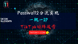 软路由Passwall2分流实现多手机多IP分流实现TikTok矩阵运营-TikTok11