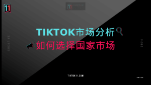 TikTok市场分析-如何选择国家市场-TikTok11
