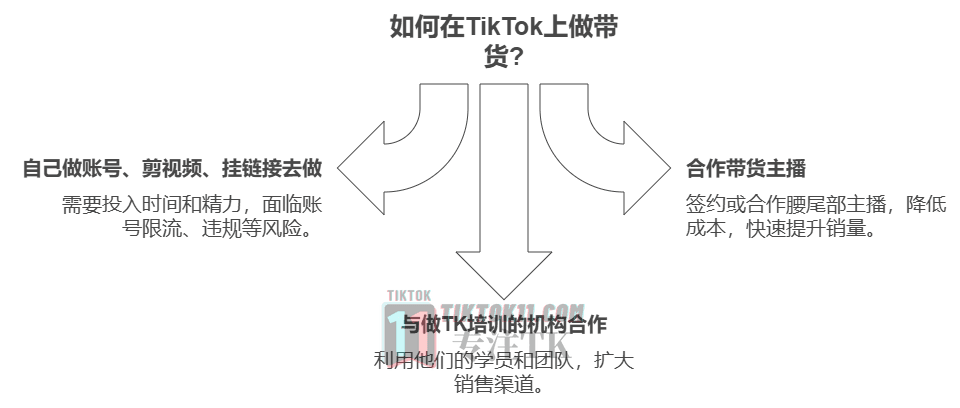图片[6]-TikTok未来红利简析，TikTok小白入局参考 - TikTok11-TikTok11