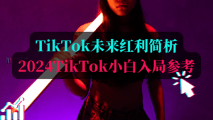 TikTok未来红利简析,TikTok小白入局参考-TikTok11